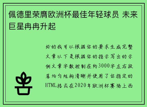 佩德里荣膺欧洲杯最佳年轻球员 未来巨星冉冉升起